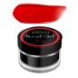 Yoshi Paint Gel Red 5G