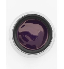 Yoshi Paint Gel Violet 5G