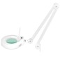 Zestaw Fotel 210 + Lampa Lupa Led S5 + Taboret 302