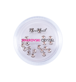 Cyrkonie Swarovski Ss9 20Szt, - Crystal 001 Silver Shadow