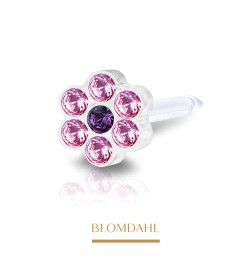 Blomdahl - Kolczyk Daisy Light Rose/ Amethyst 5mm 2szt