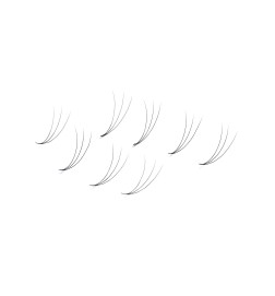 Wonder Lashes Rzęsy Premium Volume Fans 3D Sypane C