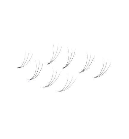 Wonder Lashes Rzęsy Premium Volume Fans 3D Sypane C