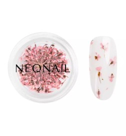 NeoNail Ozdoba Suszone Kwiaty Pink 01