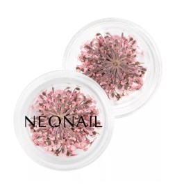 NeoNail Ozdoba Suszone Kwiaty Pink 01