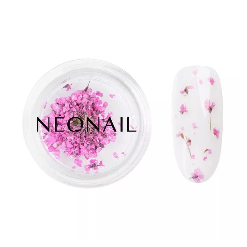 NeoNail Ozdoba Suszone Kwiaty Purple 02