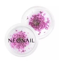 NeoNail Ozdoba Suszone Kwiaty Purple 02