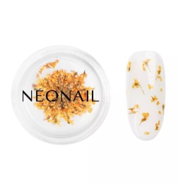 NeoNail Ozdoba Suszone Kwiaty Orange 03