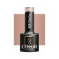 OCHO NAILS Lakier hybrydowy brown 802 -5 g