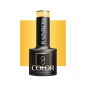 OCHO NAILS Lakier hybrydowy rainbow R01 -5 g