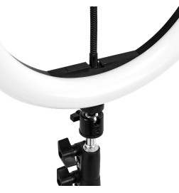 GLOW lampa pierścieniowa ring 10" bsc ze statywem 10W