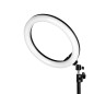 GLOW lampa pierścieniowa ring 13" bsc ze statywem 10W