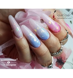 Pyłek Do Paznokci Princess Nails Nr 1 g Nr 9