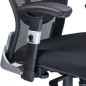 Fotel ergonomiczny CorpoComfort BX-4029A Czarny