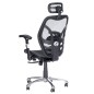 Fotel ergonomiczny CorpoComfort BX-4036 Czarny