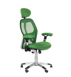 Fotel ergonomiczny CorpoComfort BX-4144 Zielony