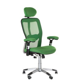 Fotel ergonomiczny CorpoComfort BX-4147 Zielony