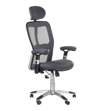 Fotel ergonomiczny CorpoComfort BX-4147 Szary