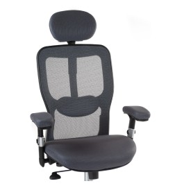 Fotel ergonomiczny CorpoComfort BX-4147 Szary