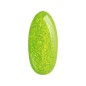 Palu Baza Jelly Base Lime - 11g