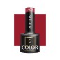 OCHO NAILS Lakier hybrydowy autumn A02 -5 g